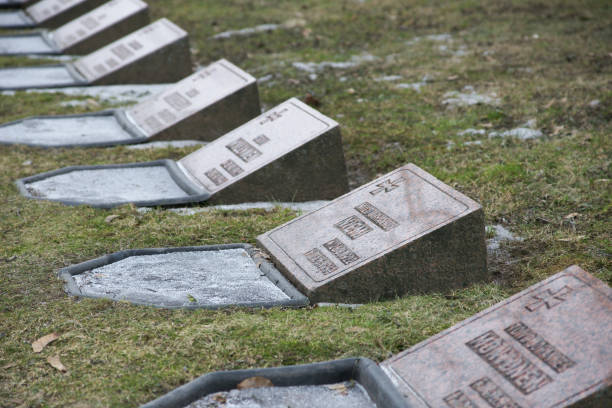 Saint Petersburg-Russia-06.09.2023: Finland. Lappeenranta. Graves of Finnish soldiers at the memorial cemetery of Sankarihautausmaa.