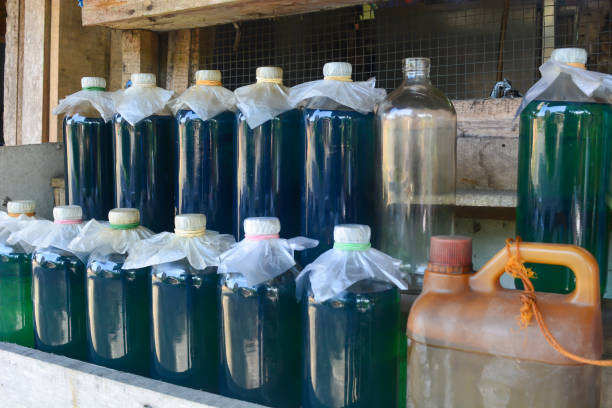 istock Gasoline sold in retail uses liter bottles. 2172252539