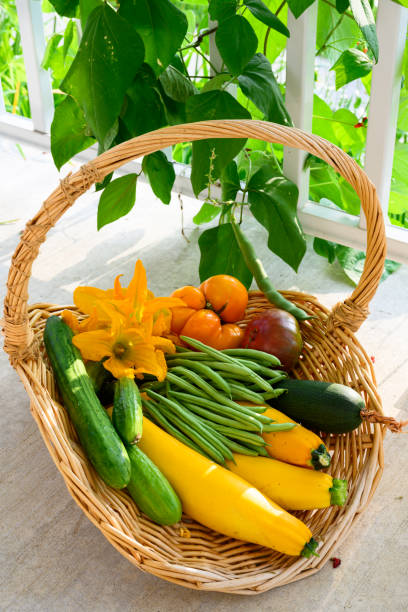 Homegrown produce