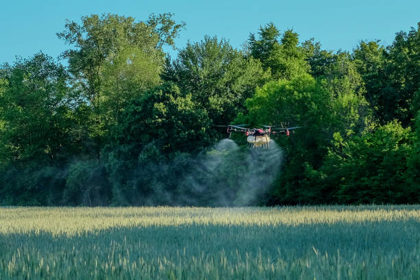 istock Agricultural drone sprays spring crop 2172256669