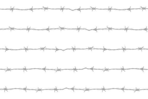 istock barbed wire isolated on white background, no people. vector illustration of barbwire fence graphic for background. 2172260730