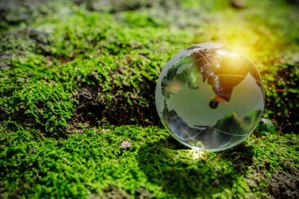istock Crystal Earth On Soil In Forest With Ferns And Sunlight. Environment, save clean planet, ecology concept. 2172265084