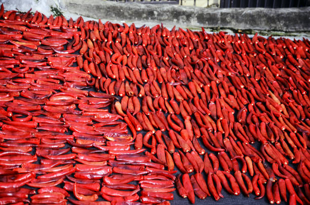 Drying hot peppers on the road, under the sun. It is located in Incheon South Korea, on a July 31, 2013