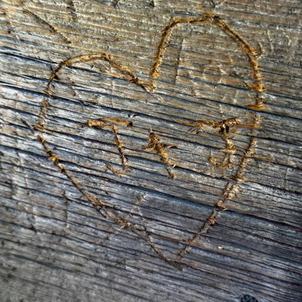 Carved heart with initials on weathered wood.
