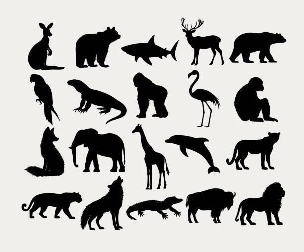 Silhouette Wild Animal Icons Collection. A set of black animal silhouettes featuring mammals, birds, and reptiles in a minimalistic style. Perfect for logos, infographics, and educational materials.