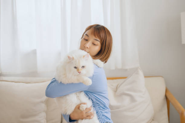 istock girl and Persian cat 2172272907