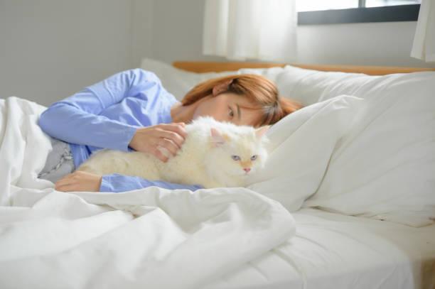 istock girl and Persian cat 2172272908