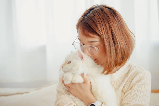 istock girl and Persian cat 2172272957