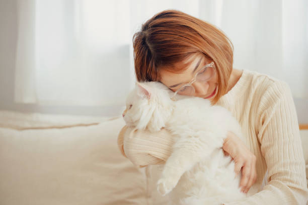 istock girl and Persian cat 2172272968