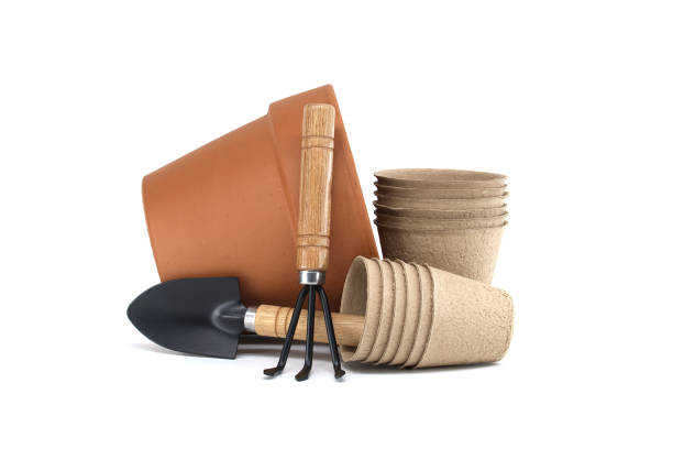 Gardening tools with terracotta pot, biodegradable pots, and spool of twine on a white background