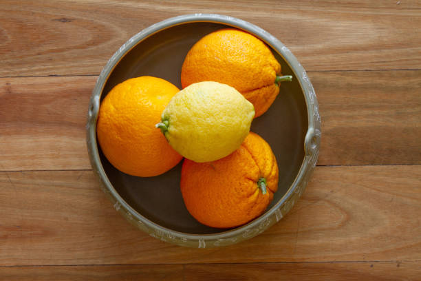 Organic Citrus Fruit in a bowl Oranges and a Lemon home grown