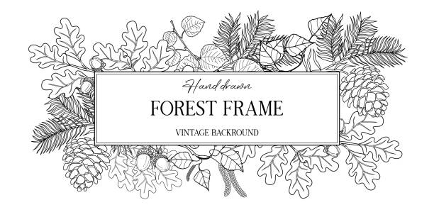 Hand drawn autumn botanical frame with falling leaves. Vector illustration in sketch style isolated on white. Realistic forest design element. Space for text. Hand drawn autumn botanical frame with falling leaves. Vector illustration in sketch style isolated on white. Realistic forest design element. Space for text. Vector illustration alder tree drawing stock illustrations
