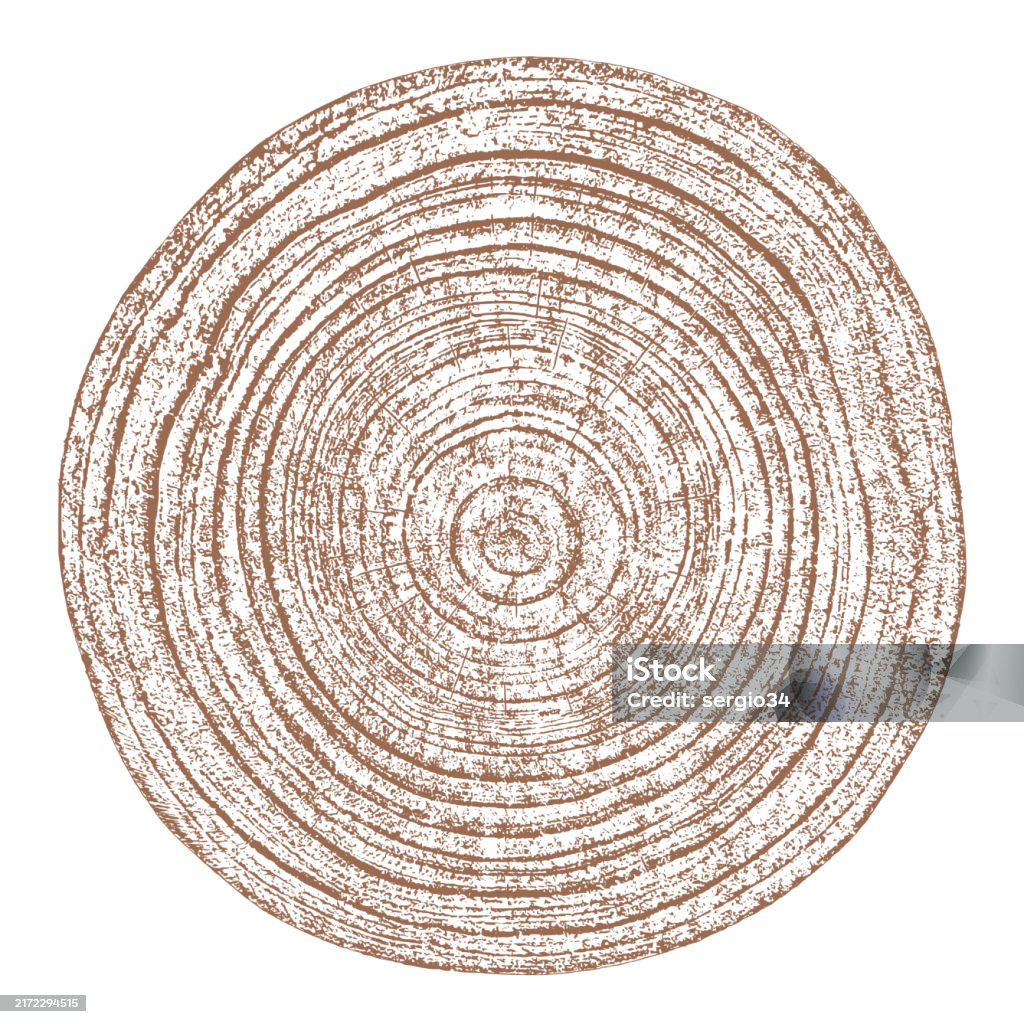 Tree Rings Cut Art Wood Texture Cross Section Of Tree Rings Stock Illustration - Download ...