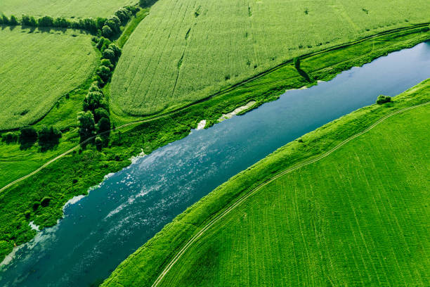 istock Aerial drone view of blue river and green corn fields. Beautiful summer landscape. 2172301654