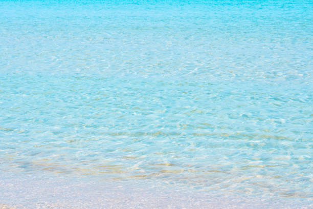 Tavolara Island Beach