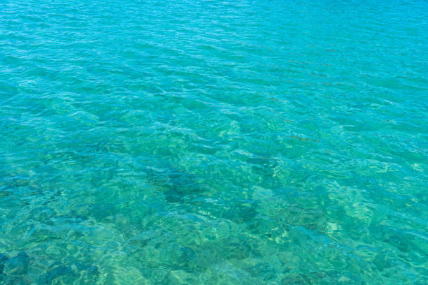 istock Beautiful emerald green sea 2172310056