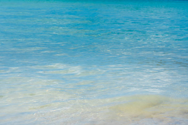 istock Beautiful emerald green sea 2172310700