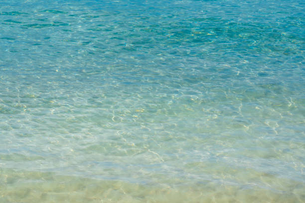 istock Beautiful emerald green sea 2172310746