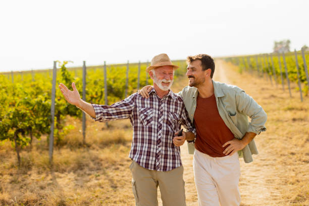 istock Two men stroll through a sunlit vineyard, sharing laughter and stories on a warm afternoon, surrounded by lush green vines 2172319898
