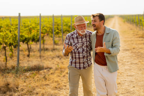 istock Two men stroll through a sunlit vineyard, sharing laughter and stories on a warm afternoon, surrounded by lush green vines 2172319912