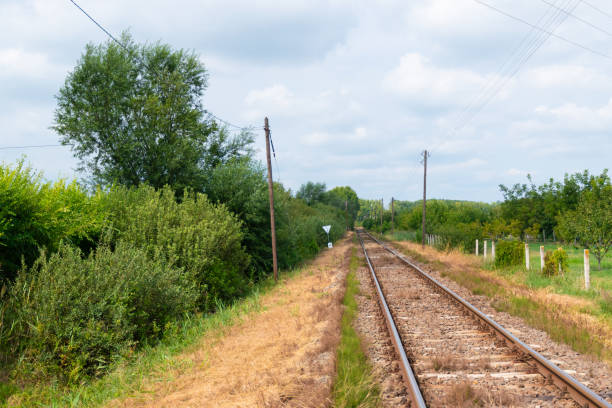 Railway in the countryside