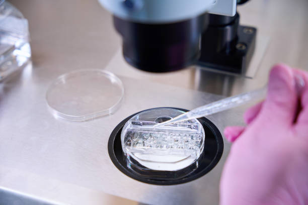 istock Pipette carefully dispenses liquid into Petri dish under microscope 2172324125