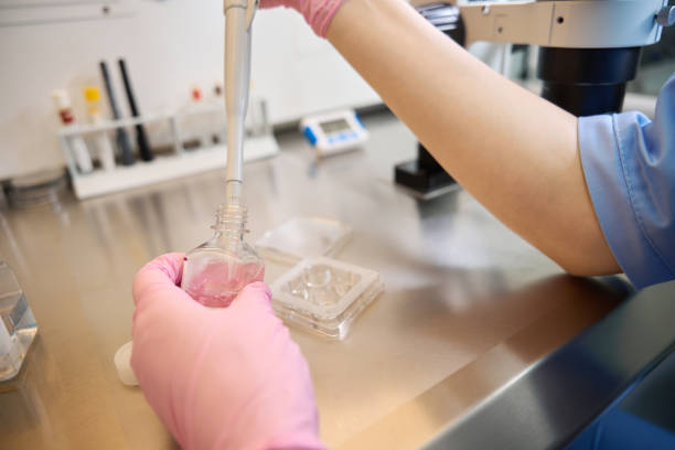 istock Embryologist handling cryopreservation process in the laboratory 2172325636