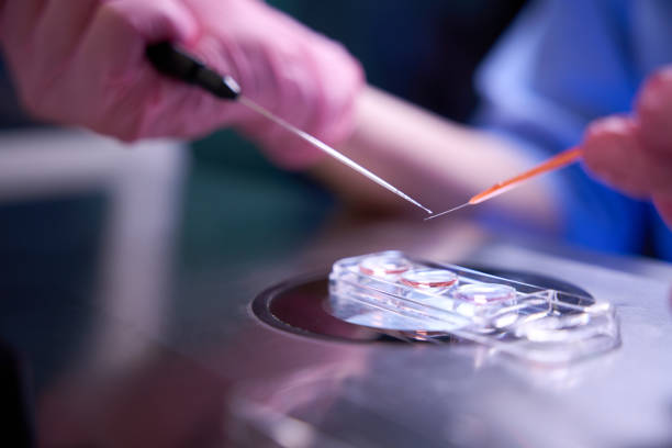istock Doctor handling cell cultures during a delicate procedure 2172325734