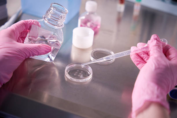Scientist handling lab containers with a delicate grip