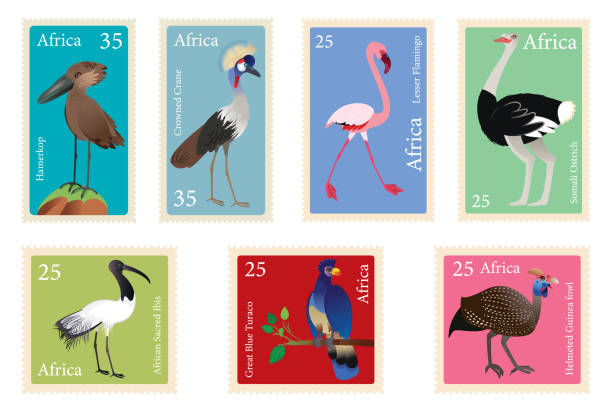 African Birds Stamp, African Birds Postage Vector African Birds Stamp, African Birds Postage somali ostrich stock illustrations