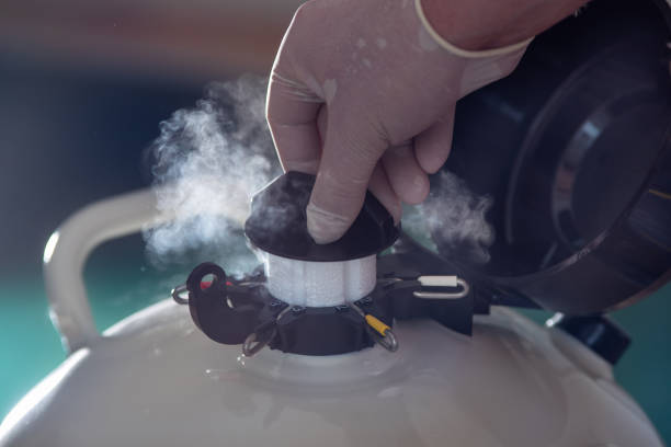 istock Liquid nitrogen tank with bull sperm for artificial insemination of cows 2172331217
