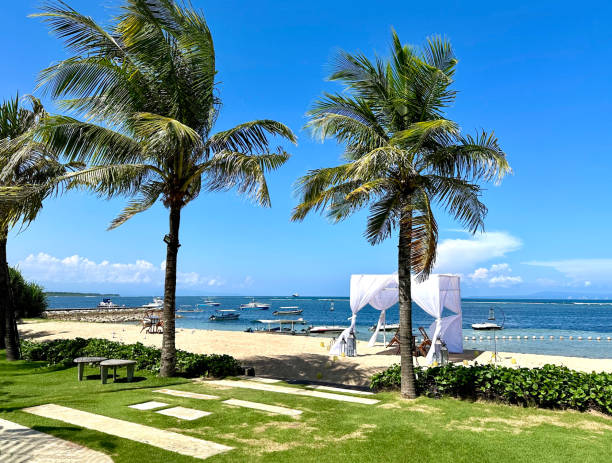 istock Beach sea and palms on Bali Indonesia 2172335500