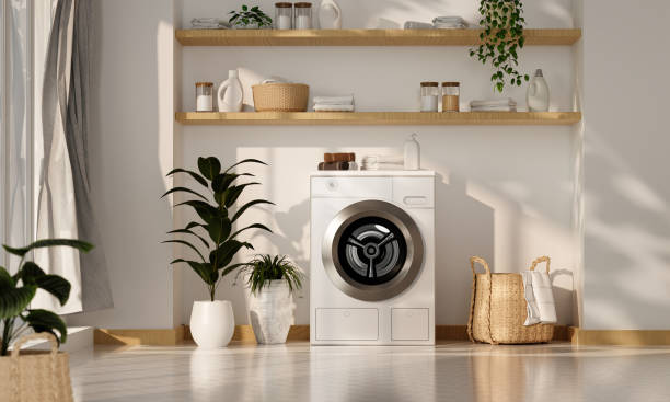 Modern Laundry Room with Stylish Washing Machine and Natural Decor Elements in Bright Sunlit Space