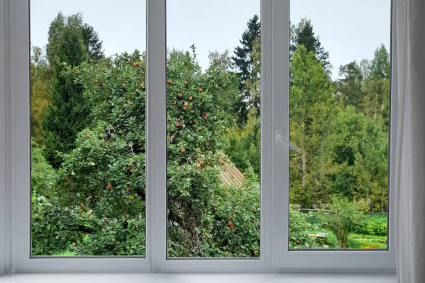 Bright outdoor scene framed by a dark room window during the day. Film photo