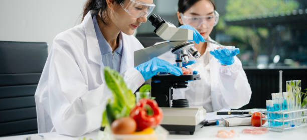 istock Two Asian scientists in a lab conducting food research using a microscope and lab equipment, showcasing innovation in food science 2172348475
