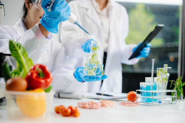 istock Two Asian scientists in a lab conducting food research using a microscope and lab equipment, showcasing innovation in food science 2172348511