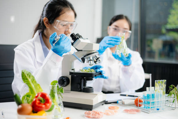 istock Two Asian scientists in a lab conducting food research using a microscope and lab equipment, showcasing innovation in food science 2172348512