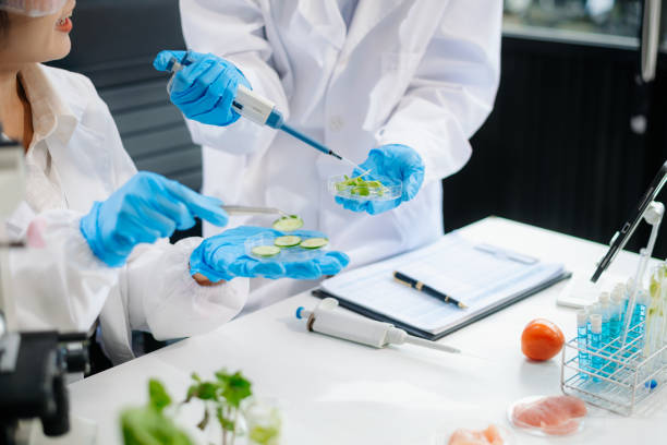 istock Two Asian scientists in a lab conducting food research using a microscope and lab equipment, showcasing innovation in food science 2172348526