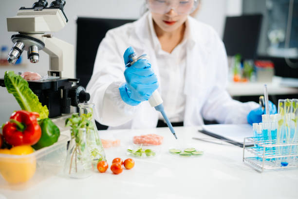 istock Two Asian scientists in a lab conducting food research using a microscope and lab equipment, showcasing innovation in food science 2172348534