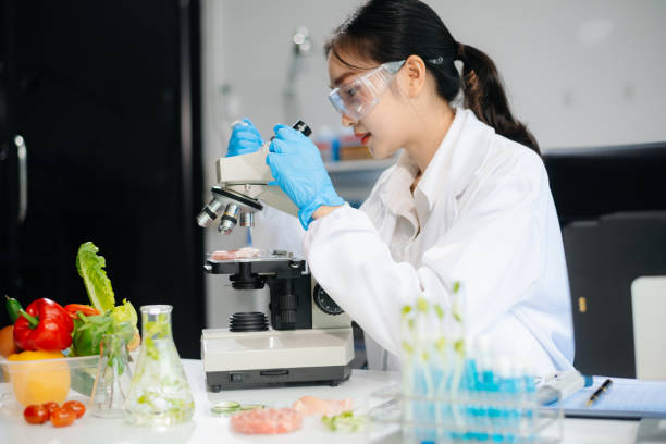 istock Two Asian scientists in a lab conducting food research using a microscope and lab equipment, showcasing innovation in food science 2172348541