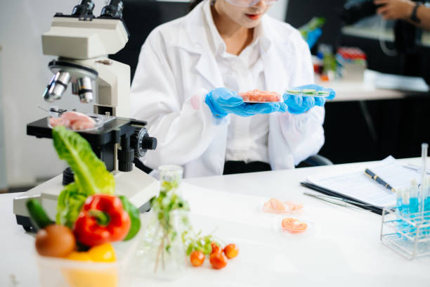 istock Two Asian scientists in a lab conducting food research using a microscope and lab equipment, showcasing innovation in food science 2172348552