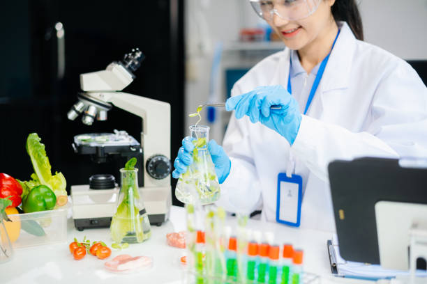 istock Two Asian scientists in a lab conducting food research using a microscope and lab equipment, showcasing innovation in food science 2172348567