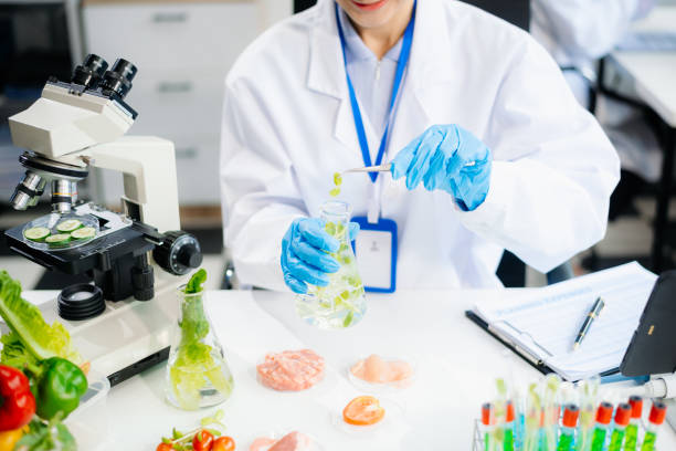 istock Food scientists in lab coats, testing samples, and analyzing food safety and quality 2172348571