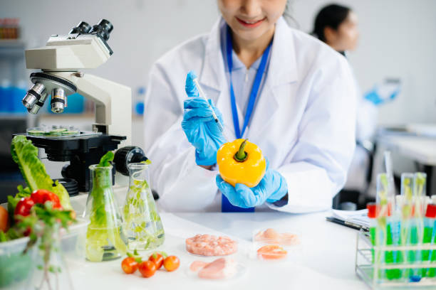 istock Two Asian scientists in a lab conducting food research using a microscope and lab equipment, showcasing innovation in food science 2172348576