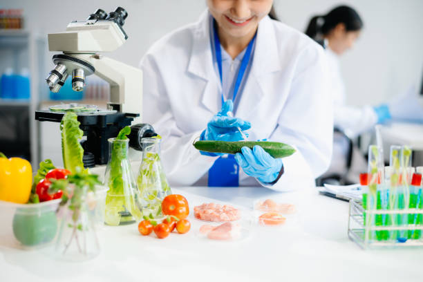 istock Food scientists in lab coats, testing samples, and analyzing food safety and quality 2172348587