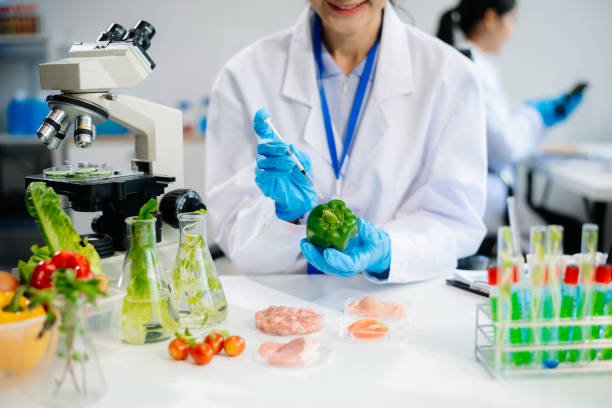 istock Food scientists in lab coats, testing samples, and analyzing food safety and quality 2172348589