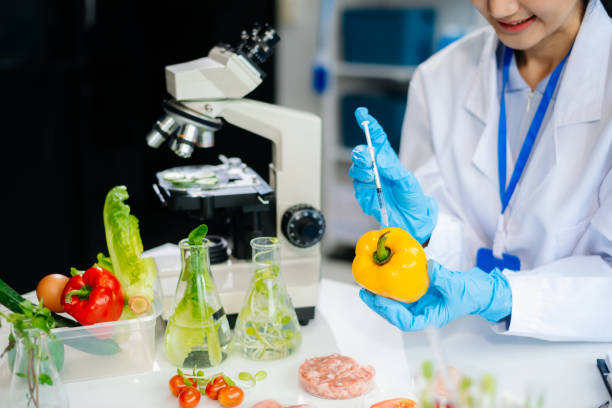 istock Two Asian scientists in a lab conducting food research using a microscope and lab equipment, showcasing innovation in food science 2172348597