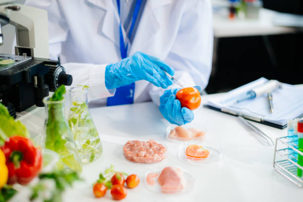 istock Food scientists in lab coats, testing samples, and analyzing food safety and quality 2172348599