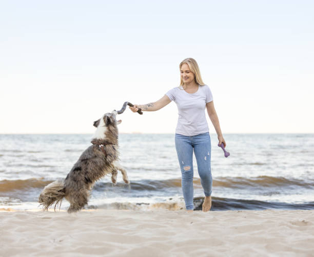 istock Young woman having fun on sandy beach with her dog catching a stick 2172348838