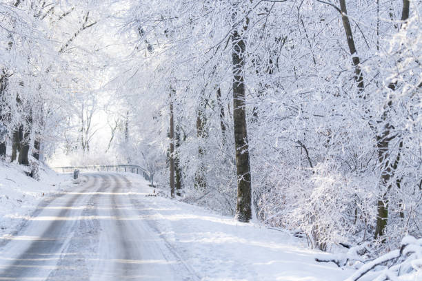 istock Winter landscape with snow-covered trees and road 2172349051